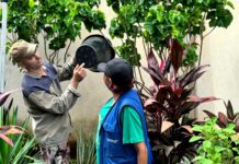 Secretaria de Saúde de Ipatinga divulga resultado do último LIRA de 2024