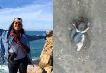 Traslado de brasileiro mortos no exterior: entenda novas regras da gratuidade