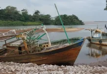 A lenta recuperação da foz do Rio Doce, 10 anos após Mariana
