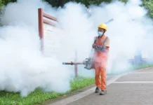 China tenta conter surto de chikungunya