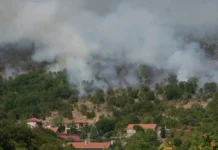 Incêndios florestais assolam sul da Europa e deixam milhares de pessoas desalojadas