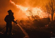 Europa arde sob número recorde de incêndios florestais
